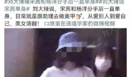 刘大锤爆料宋茜隐婚视频,娱乐圈新恋情疑云